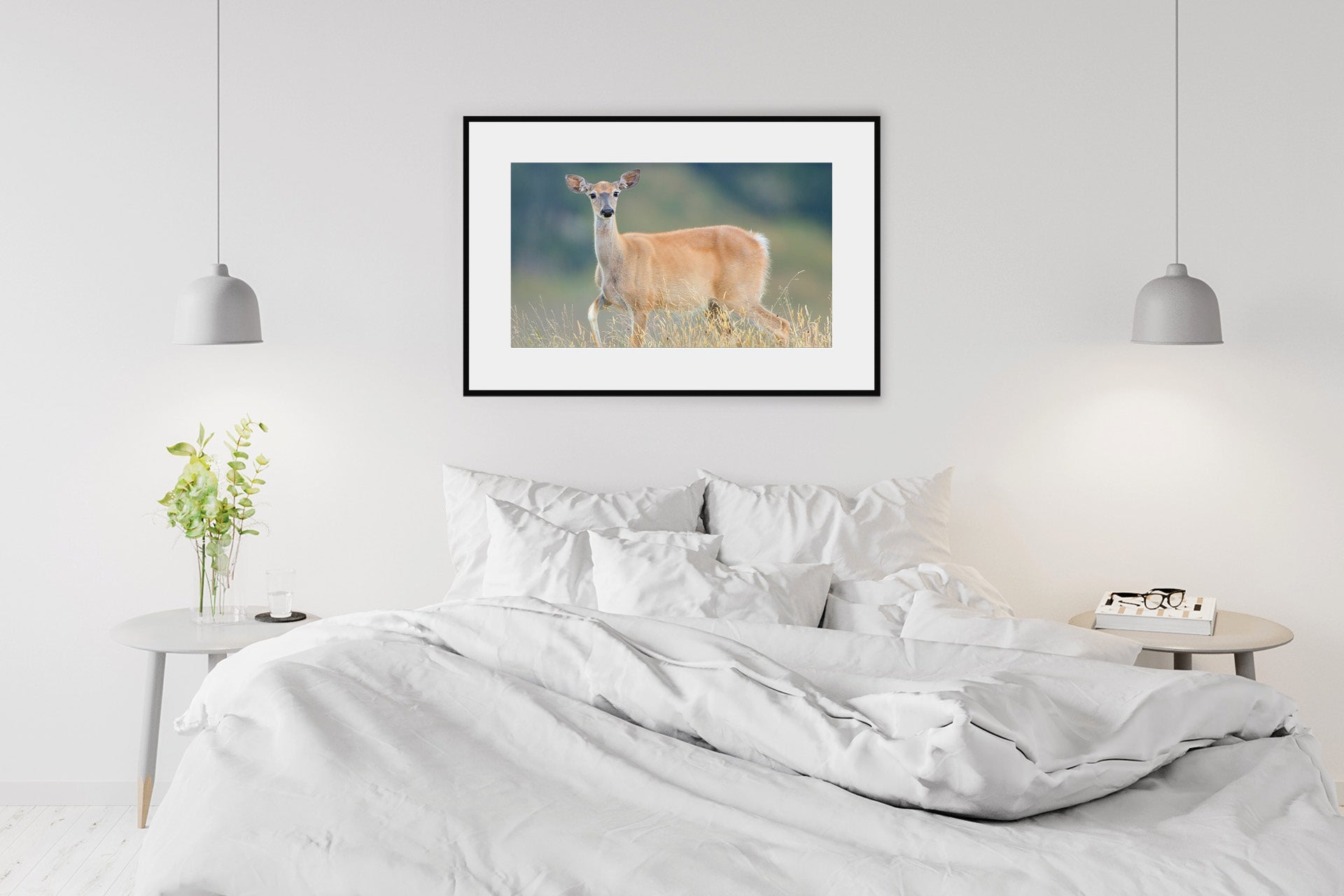 New Zealand whitetail wall print