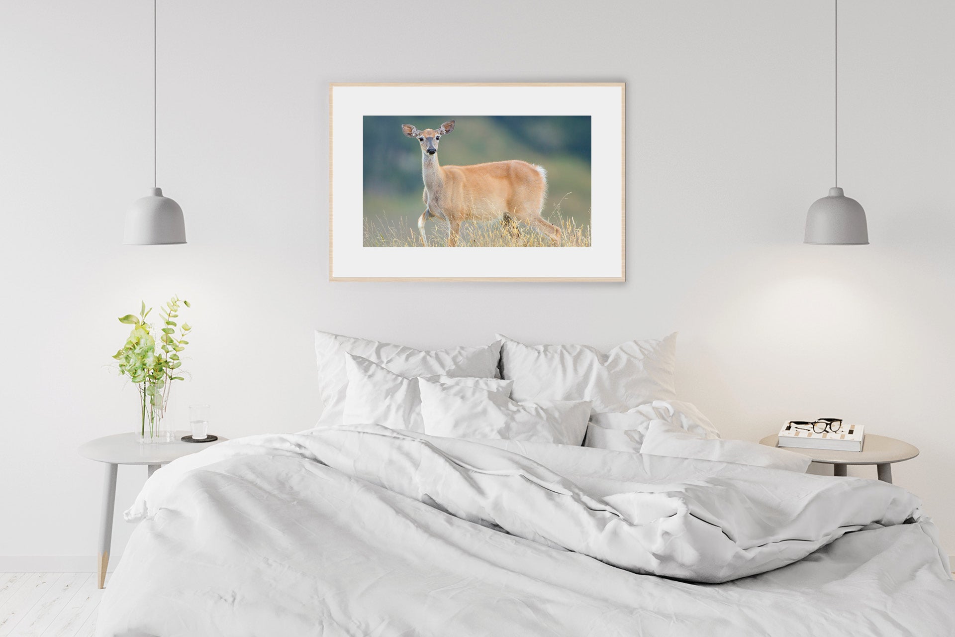 NZ whitetail doe wall print photo