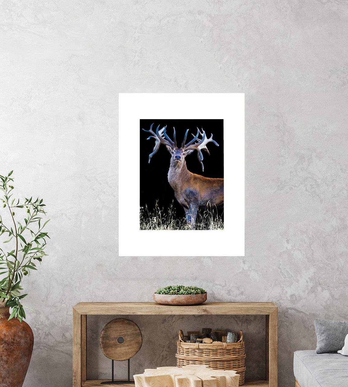 Red Stag antlers photo wall print image